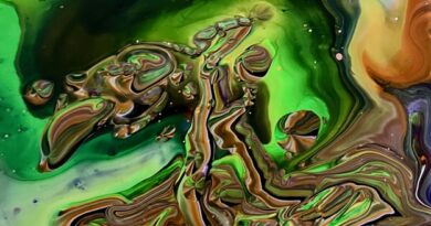Xavier BOSCHER – Shapeshifter